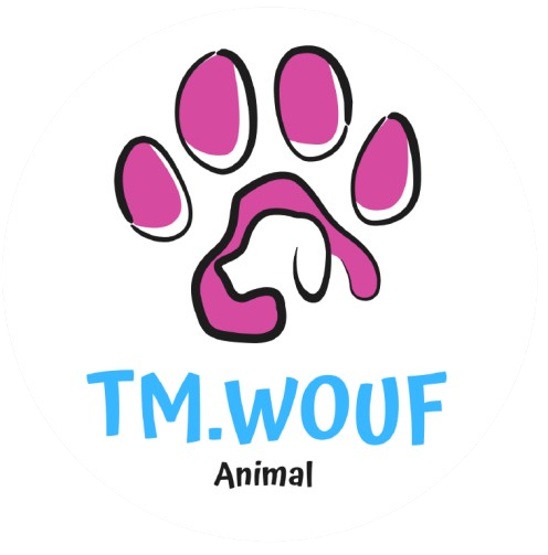 Des produits malins pour simplifier la vie avec votre animal.